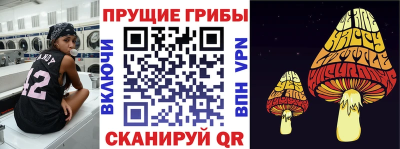 Галлюциногенные грибы MAGIC MUSHROOMS  где найти наркотики  Тулун 